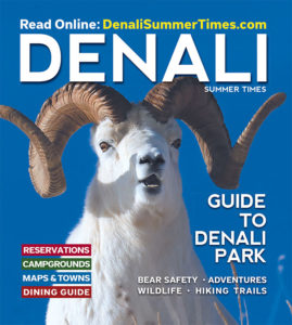 Ram in Denali jimmy Tohill Old sourdough Studio Denali